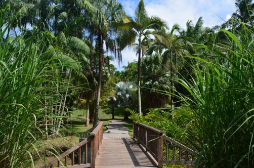 sud-atlantique-martinique (53)