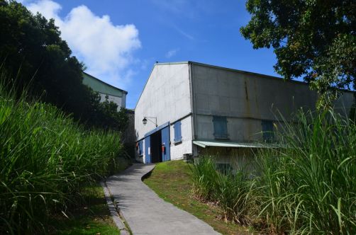 sud-atlantique-martinique (54)