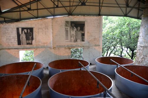 sud-atlantique-martinique (65)