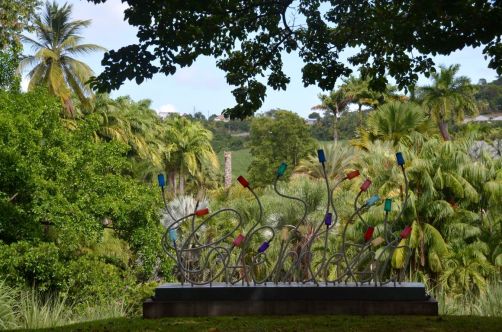 sud-atlantique-martinique (68)