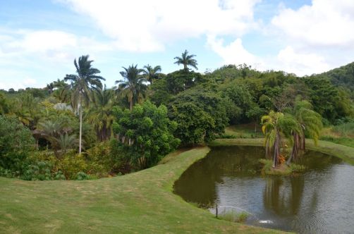 sud-atlantique-martinique (70)