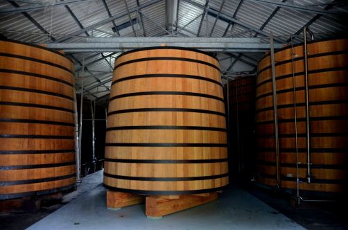 sud-atlantique-martinique (72)