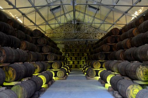 sud-atlantique-martinique (73)