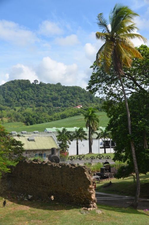 sud-atlantique-martinique (87)