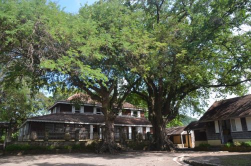 sud-atlantique-martinique (95)