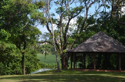 sud-atlantique-martinique (98)