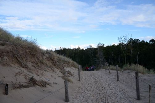 dunes-pologne (18)