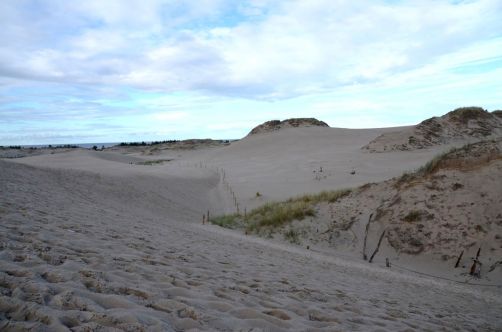 dunes-pologne (20)
