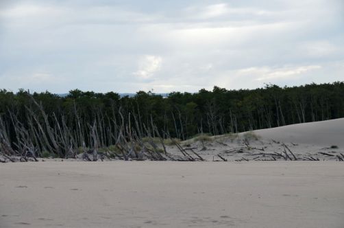 dunes-pologne (24)
