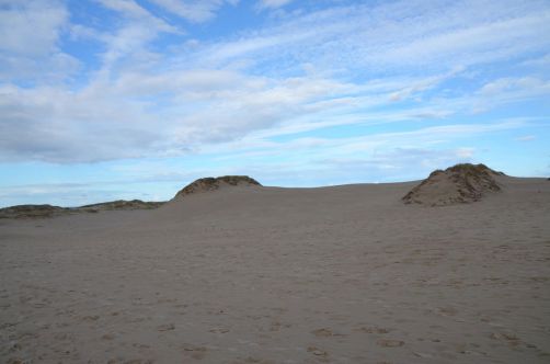 dunes-pologne (28)