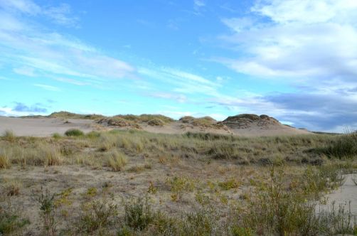dunes-pologne (40)