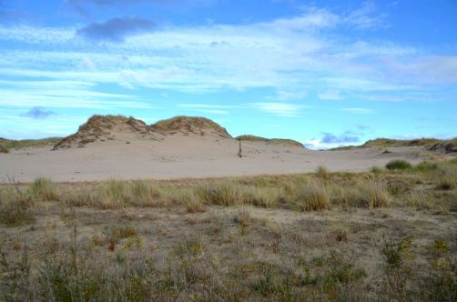dunes-pologne (41)
