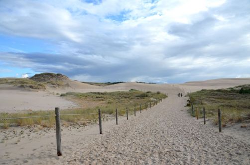 dunes-pologne (45)