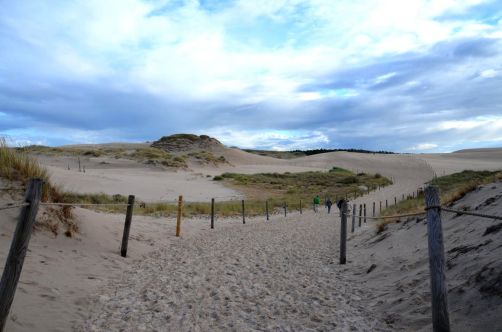 dunes-pologne (52)