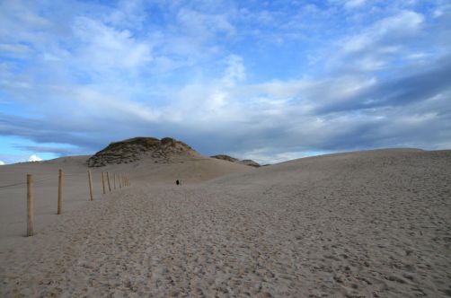 dunes-pologne (53)