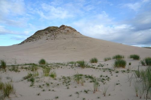 dunes-pologne (58)