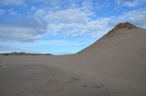 dunes-pologne (59)