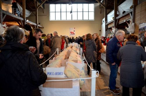 glorieuses-de-bresse (55)