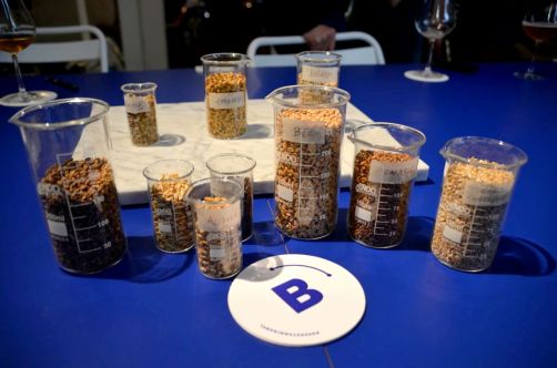 beerstorming-bruxelles (1)