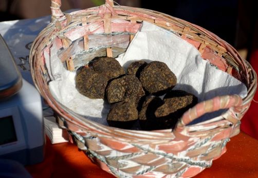 clair-de-la-plume-grignan (147)