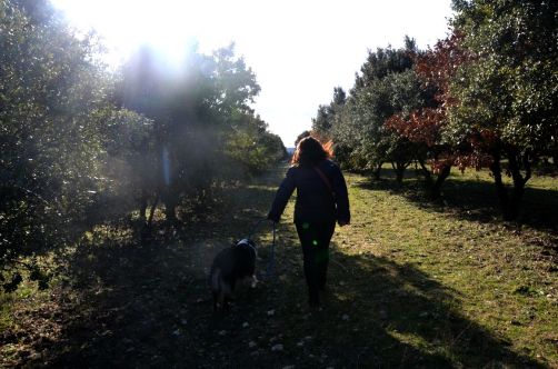 clair-de-la-plume-grignan (163)