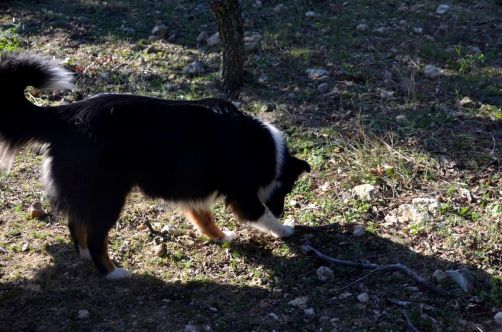 clair-de-la-plume-grignan (164)