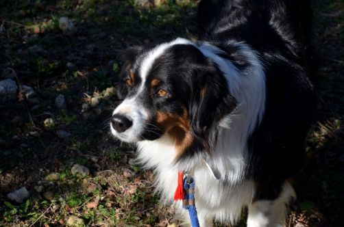 clair-de-la-plume-grignan (167)