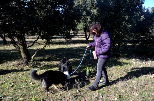 clair-de-la-plume-grignan (171)