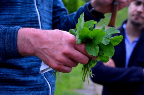 gin-botanist-cocktails (10)