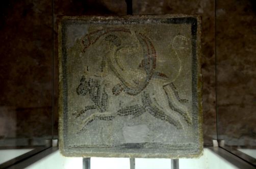 ile-de-sainte-margherite (105)