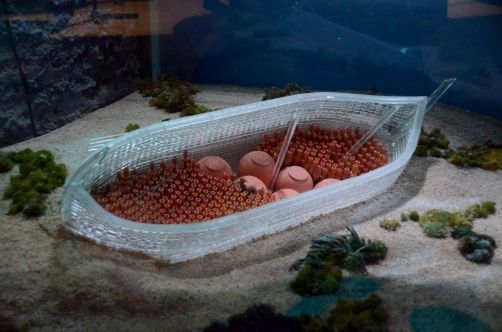 ile-de-sainte-margherite (108)