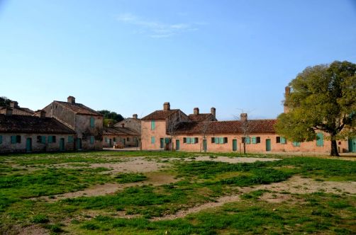 ile-de-sainte-margherite (119)