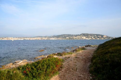ile-de-sainte-margherite (39)
