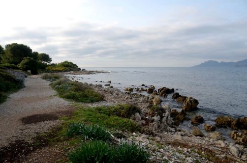 ile-de-sainte-margherite (40)