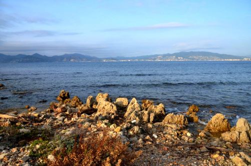 ile-de-sainte-margherite (42)