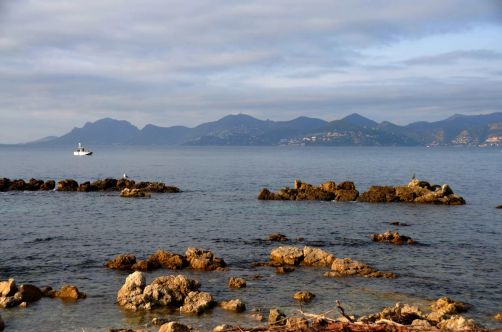 ile-de-sainte-margherite (47)