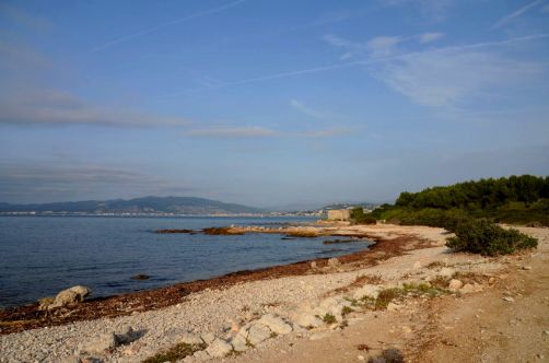 ile-de-sainte-margherite (48)