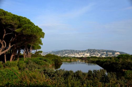 ile-de-sainte-margherite (53)