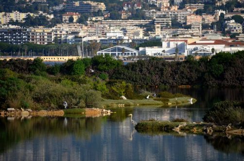 ile-de-sainte-margherite (55)