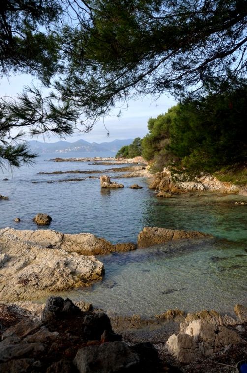 ile-de-sainte-margherite (64)