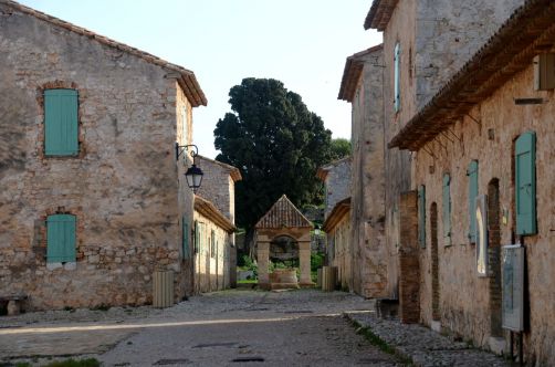 ile-de-sainte-margherite (84)