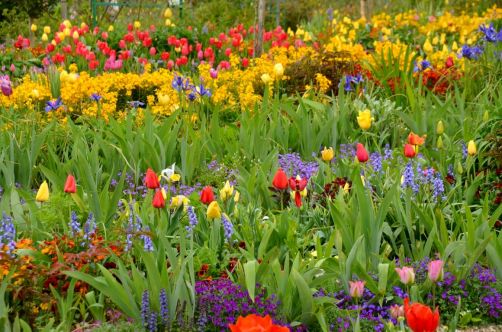 monet-normandie (23)