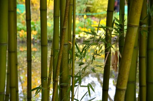 monet-normandie (40)