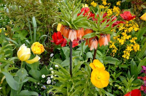 monet-giverny-normandie (75)