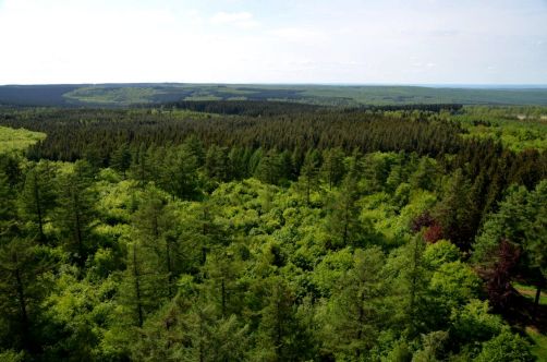 moulin-de-vencimont (44)