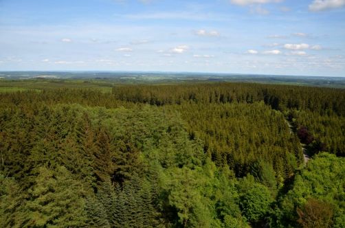 moulin-de-vencimont (51)