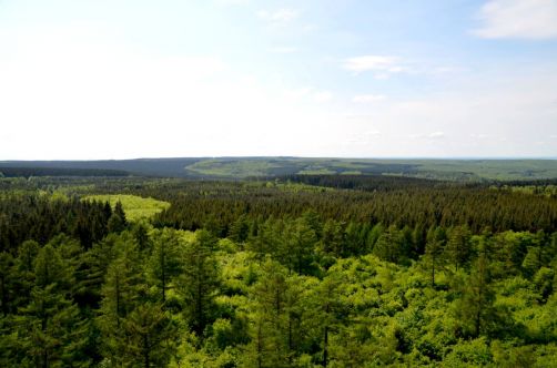 moulin-de-vencimont (53)