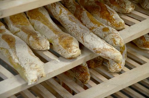 moulin-de-vencimont (81)