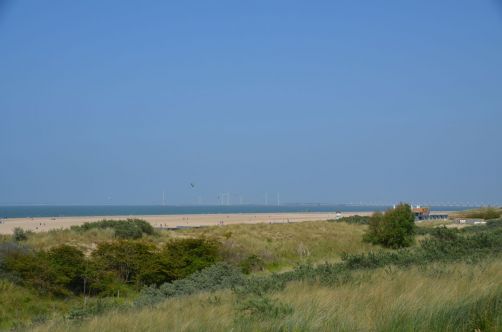 weekend-zélande-homard-moules (129)