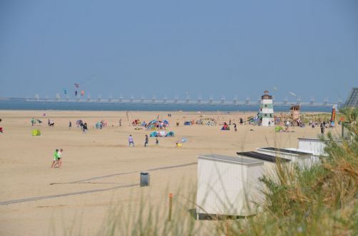 weekend-zélande-homard-moules (133)